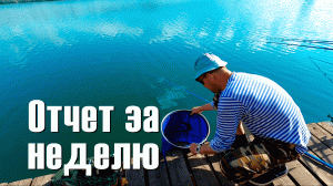 Отчет рыбалки за неделю. "Новая рыбалка" в Белгороде