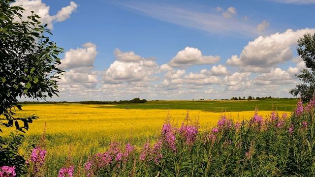 Сергей Куканов - Июль смотреть онлайн