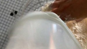 Дрожжевое тесто холодной расстойки ночная ферментация в холодильнике для пиццы