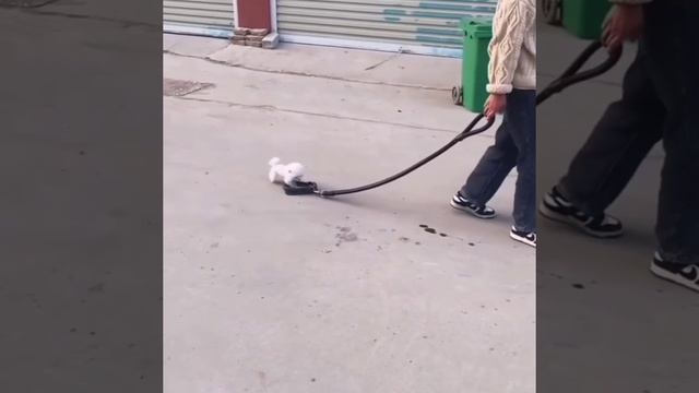 Ржака!