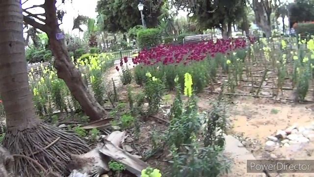 Благовещение Пресвятой Богородицы на Святой Земле 07.04.2020. смотреть онлайн