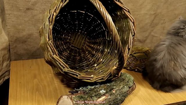 Плетение простых корзин из неокорённой лозы, ивового прута. Состояние после высыхания.