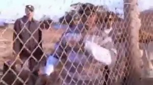 Eazy-E - Real Muthaphukkin G's (With official video + lyrics)