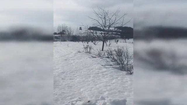 с. Осиновка Ставропольского района Самарской области смотреть онлайн