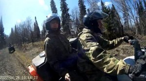 На CF MOTO X8 в лес на природу, за черемшой!