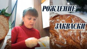 Рождение закваски для хлеба
