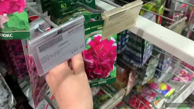 Всякие растения и «полторы» орхидеи. Садовый Максидом на Гражданском пр. СПб. 13.05.22. смотреть онлайн