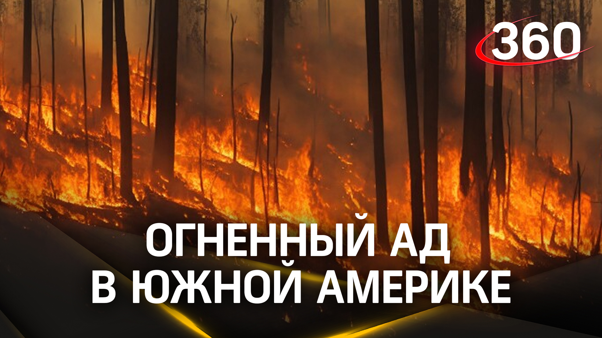 Огненный ад в Южной Америке: число погибших из-за масштабных лесных пожаров в Чили растет