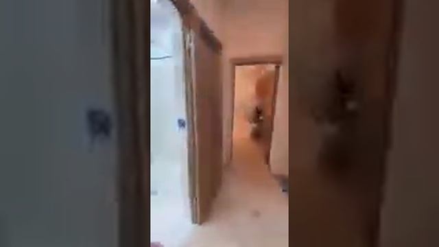 Продажа 3-к квартиры в Симферополе 90 м² смотреть онлайн