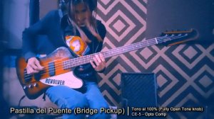 Gibson Thunderbird vs Epiphone Thunderbird - Bass Comparison - Comparación de Bajos - Test #gibson