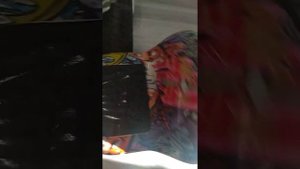 Как выбрать гироскутер бу,