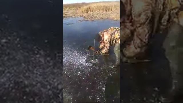 Рыбалка топором смотреть онлайн