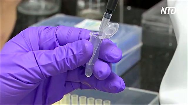 Индийские учёные научились обнаруживать рак на ранних стадиях смотреть онлайн