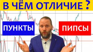 Чем отличаются пипсы от пунктов в трейдинге