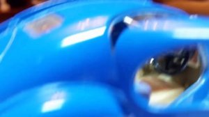 Bburago 1:24 Bugatti Atlantic 1936 обзор модели