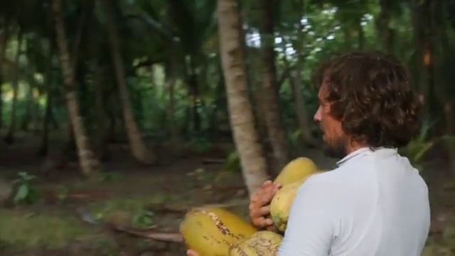 Как добывать и разделывать кокосы смотреть онлайн