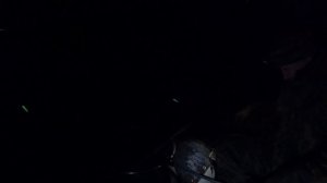 #1 Властелин Кольца: Осенняя Ночная Рыбалка на Волге с Лодки Ловля Леща на Кольцо Ловля Судака