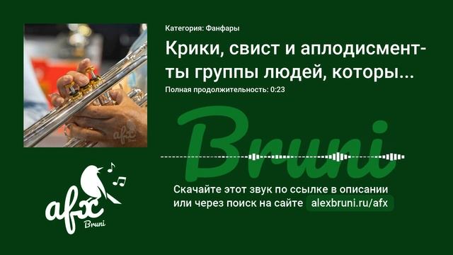 Звук: Крики, свист и аплодисменты группы людей, которые хлопают в ладоши победителю