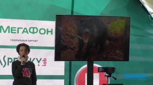 Евгения Тимонова  Глупые звери, умные птицы, мудрые люди