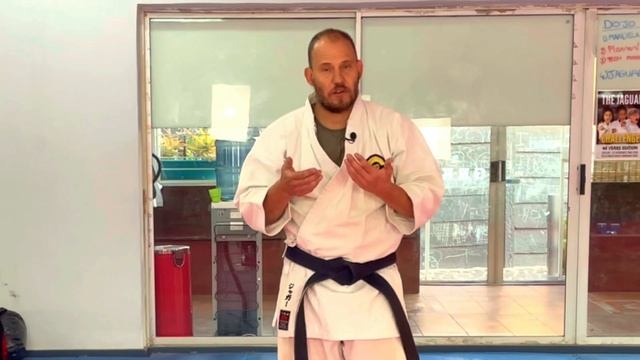 Defending And Attacking With One Arm: Randori Basics For Goju Ryu