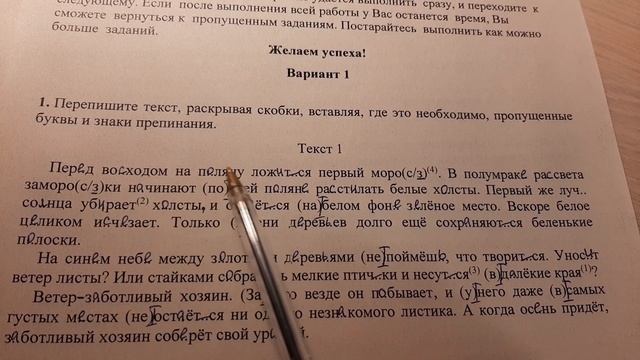 Диктант всю ночь шел снег. Шпоры на ВПР. Шпоры на ВПР по русскому. ВПР по русскому языку 5 класс. Шпоры на ВПР по русскому 5 класс.