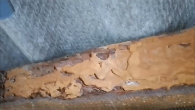 Защита древесины от плесени и жучков. ПоСтройка. смотреть онлайн