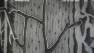 Cоединительная ткань.