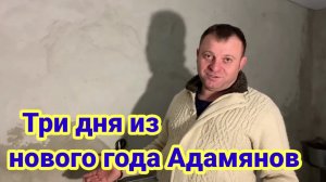 Три дня из нового года Адамянов, "Обзор "Семьи Адамян" (озвучен своим не изменённым голосом)