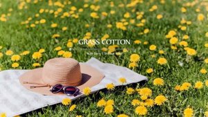 Расслабляющая музыка для отдыха, неспешных прогулок, хобби.