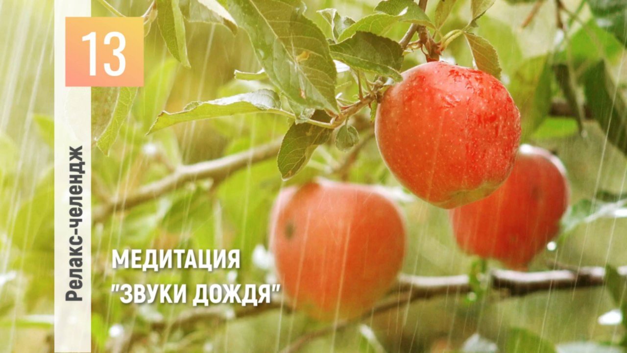 День 13: Отпуск для души. Перезагрузка. Медитация "Звуки дождя"