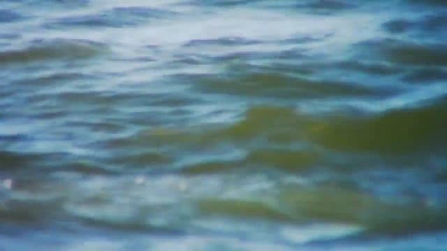 Бархатный сезон. Незабываемые выходные в Голубицкой смотреть онлайн