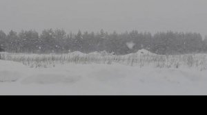 Sounds of wind snow in winter Mitel - Звуки ветра снега зимой в лесу метель 2022