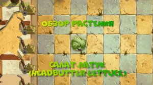 Обзор Салата-лаТука (Headbutter Lettuce), растение из Plants vs Zombies 2