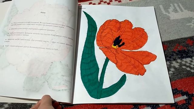 Законченная раскраска Соедини по точкам, Цветы смотреть онлайн