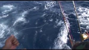 Планета рыбака - Выпуск 471 Карибское Море. Ловля барракуды.