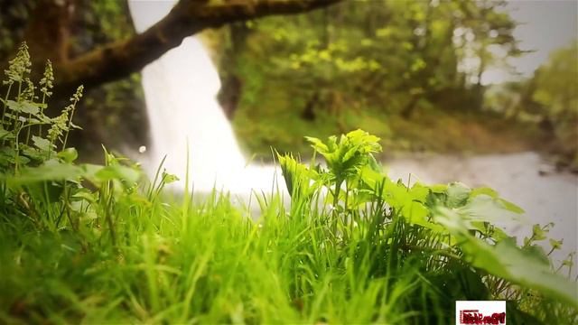 Творческий вечер #1. Душевная преданность смотреть онлайн