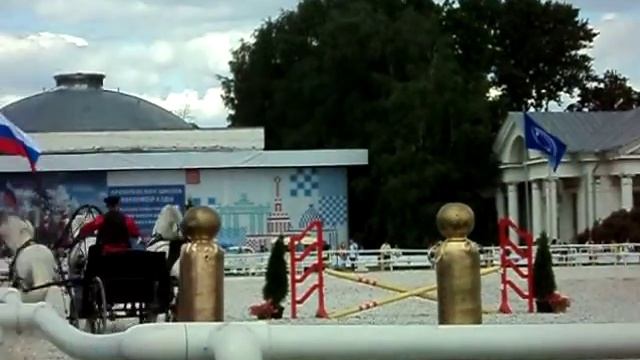 Русская тройка выставка лошадей на ВДНХ смотреть онлайн