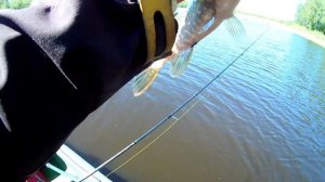 Рыбалка на малой реке весной!Megabass Kanata Strike Pro Euro Minnow 90 FX9