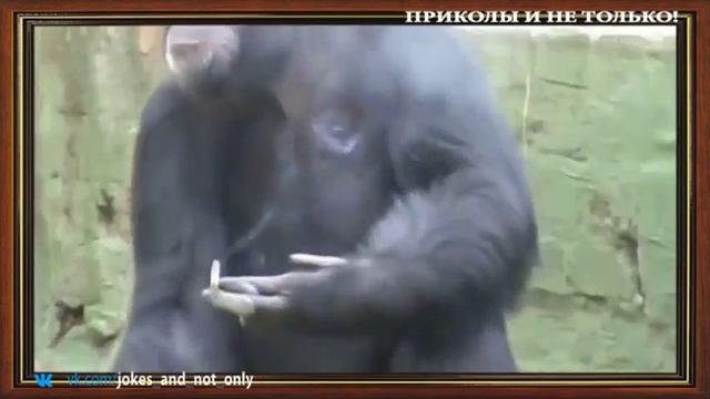 МЕГА Лучшая нарезка приколов 2016 Бонус в конце смотреть онлайн