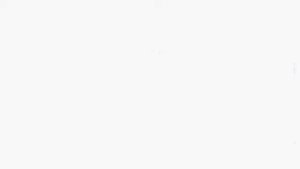 Главный п..... всея Руси