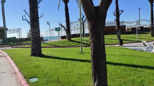 Alva Donna Exclusive Hotel Belek 2021зимняя концепция перед новым годом. Теплый бассейн нетеплый. смотреть онлайн