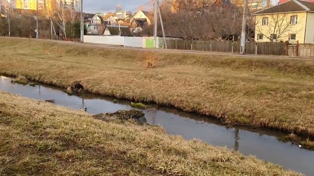 Обзор влогов / Многомама / Поездка в Иваново, обед в кафе и номер в отеле, Юля "ШИКУЕТ"!