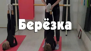 Берёзка