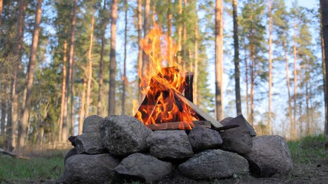 Celtic Flute Relaxing Nature Sounds Free Mind Sleep Learning Music смотреть онлайн