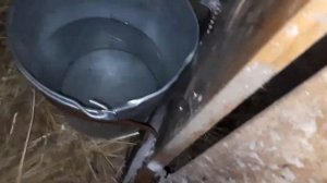 удобные клетки для коз.