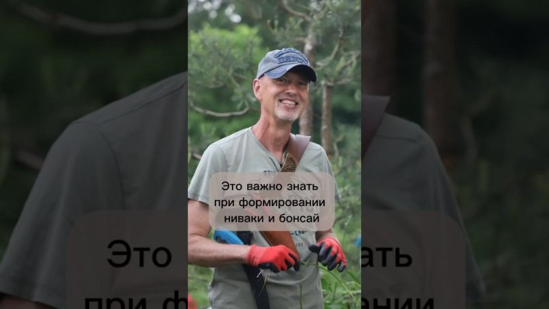 Это важно знать при формирование ниваки и бонсай.