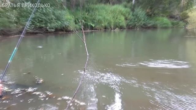 В ТАЙГУ ЗА ЩУКОЙ НА РЫБАЛКУ смотреть онлайн