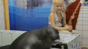 Нерпа Байкальская Seal