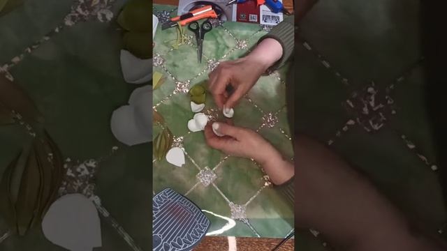 БУТОНЫ ПИОНОВ НА РАЗ-ДВА!!!