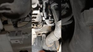 Skoda Octavia A5 ,не горит лампа зарядки аккумулятора при включенном зажигании.